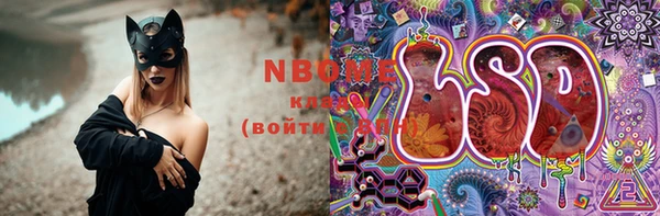 шишки Краснослободск