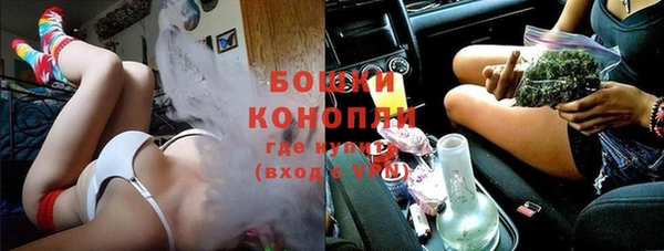 шишки Краснослободск